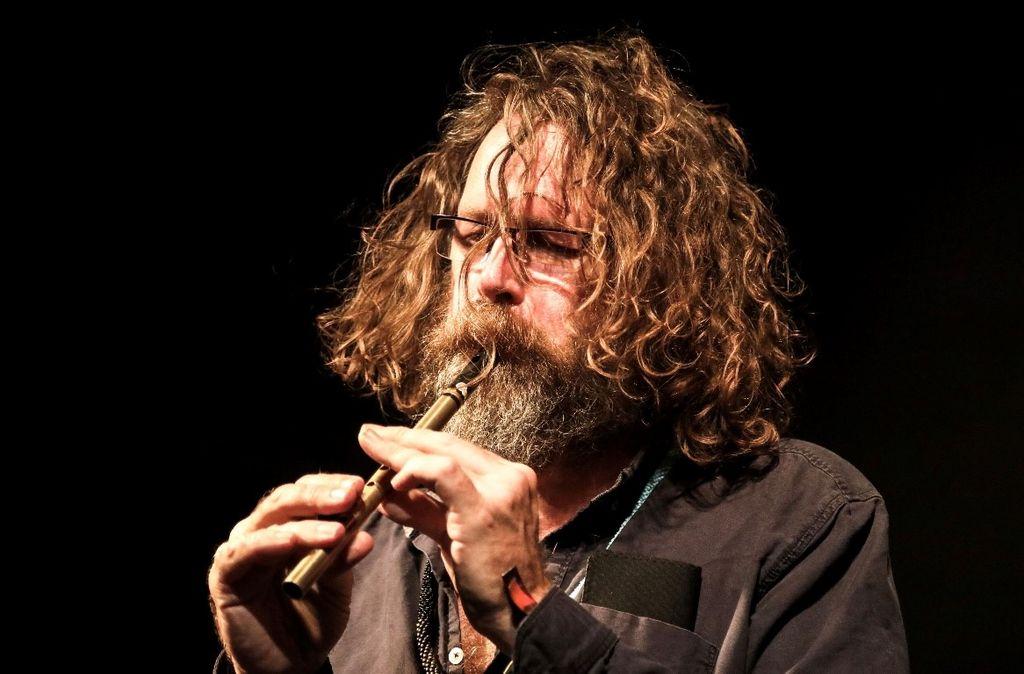 Liam Ó Maonlaí (concert)