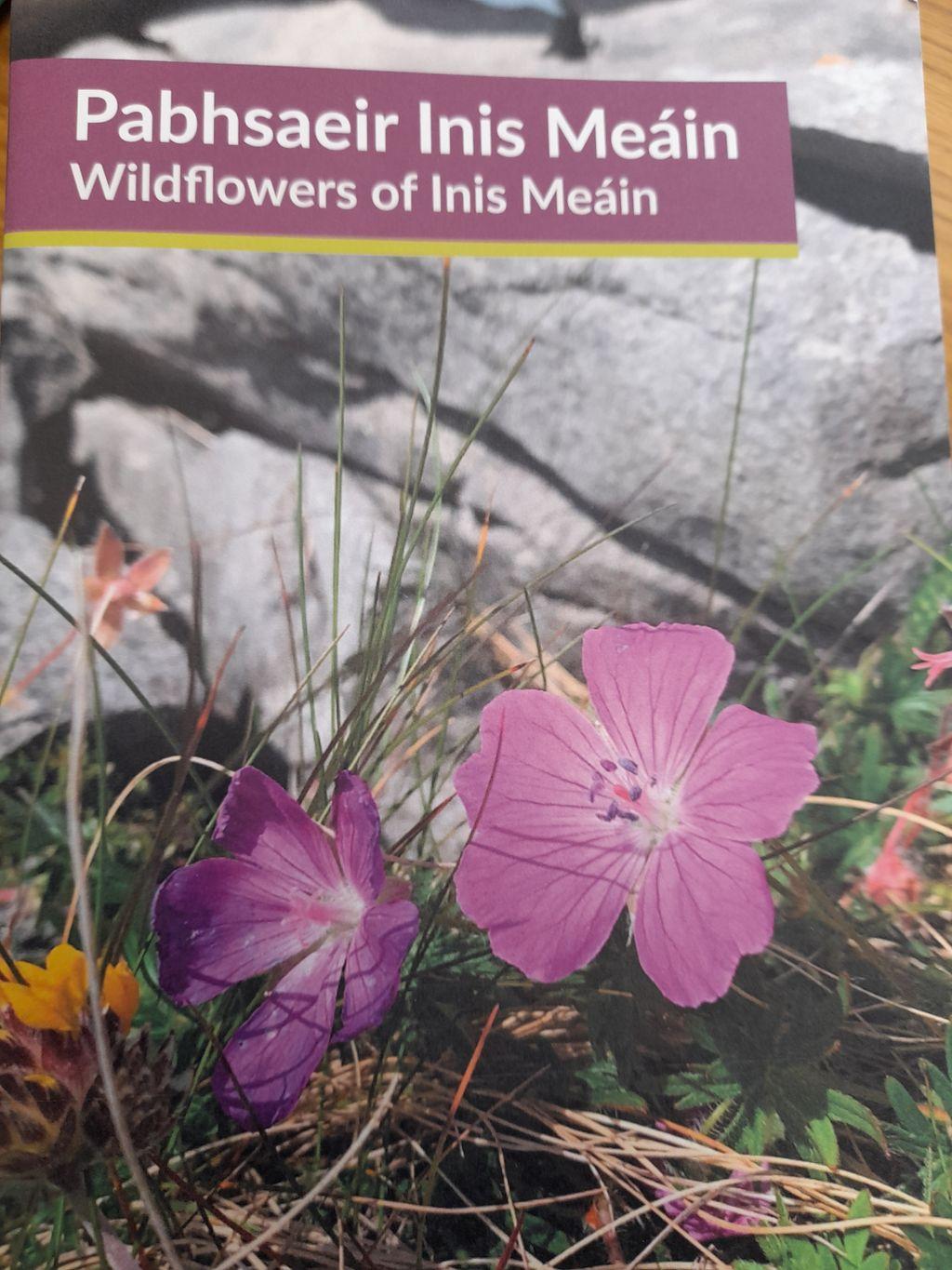 Wildflowers of Inis Meáin